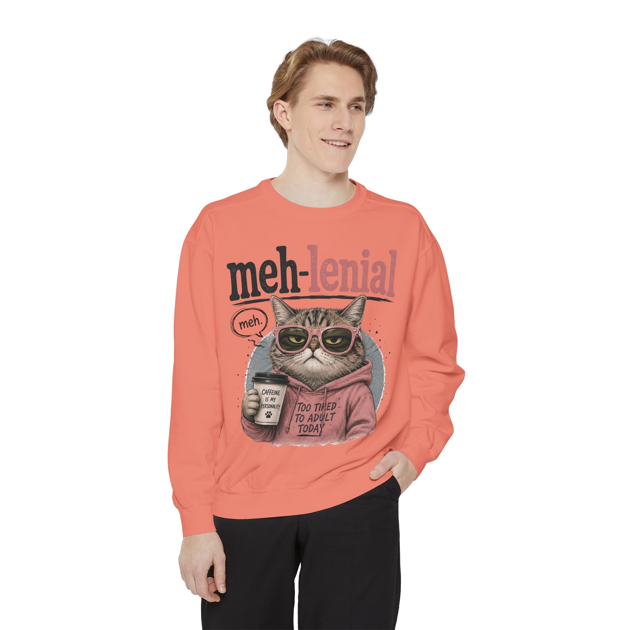 Meh-lenial Cat Sweatshirt — Funny Millennial Humor Pullover