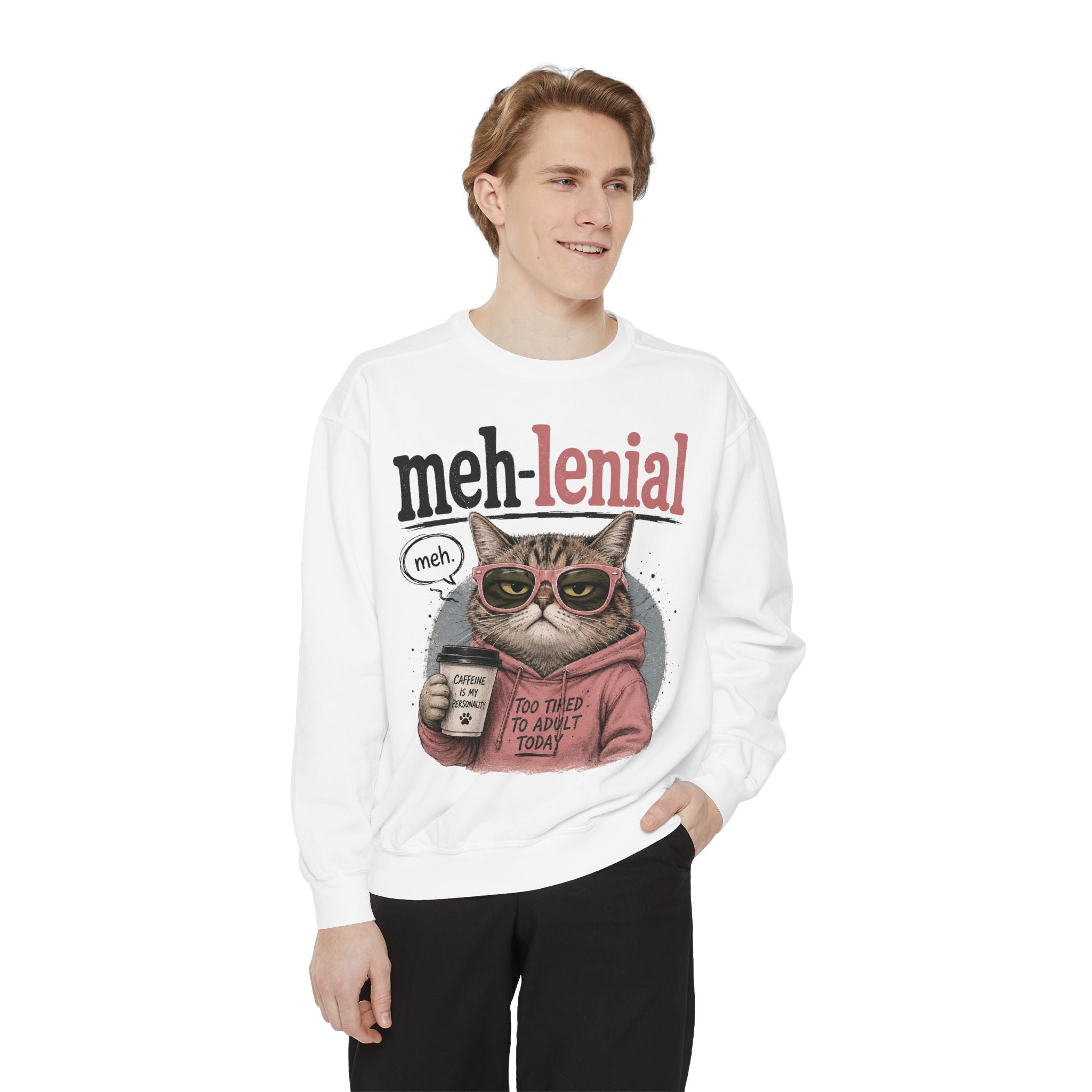 Meh-lenial Cat Sweatshirt — Funny Millennial Humor Pullover