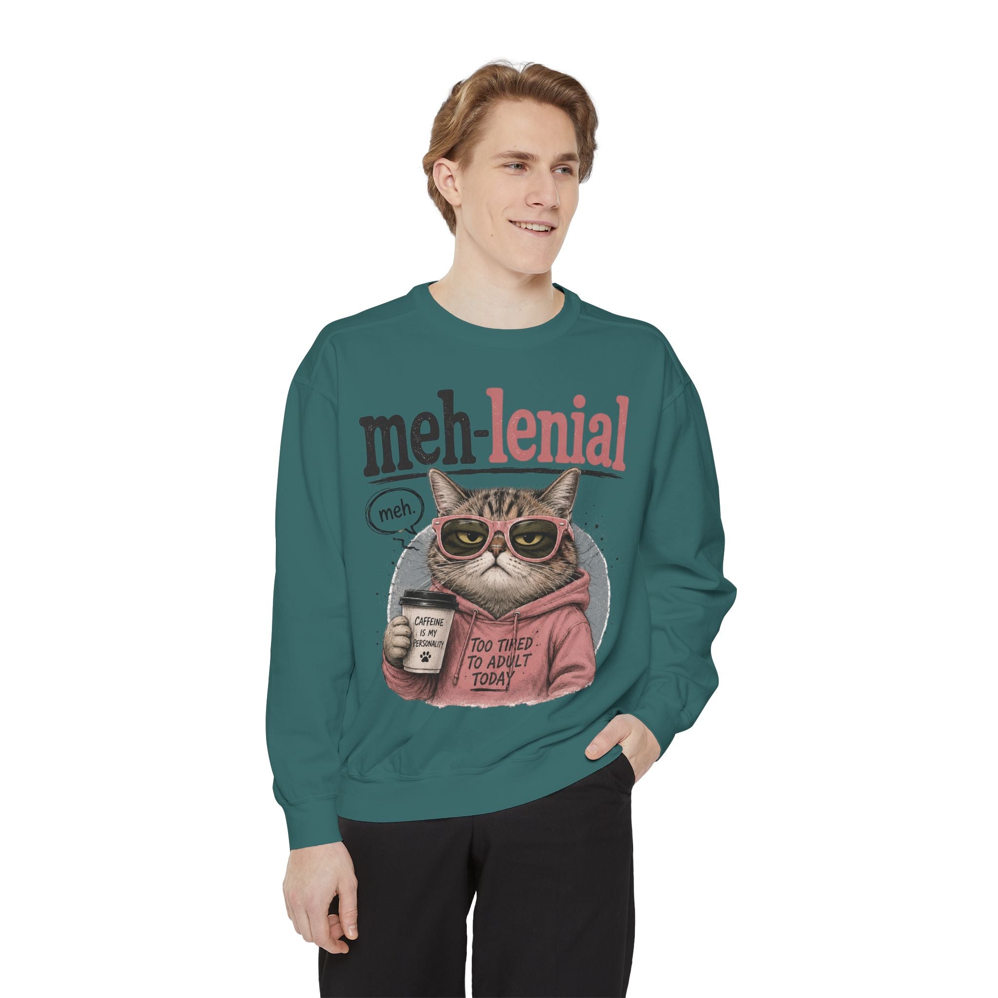 Meh-lenial Cat Sweatshirt — Funny Millennial Humor Pullover