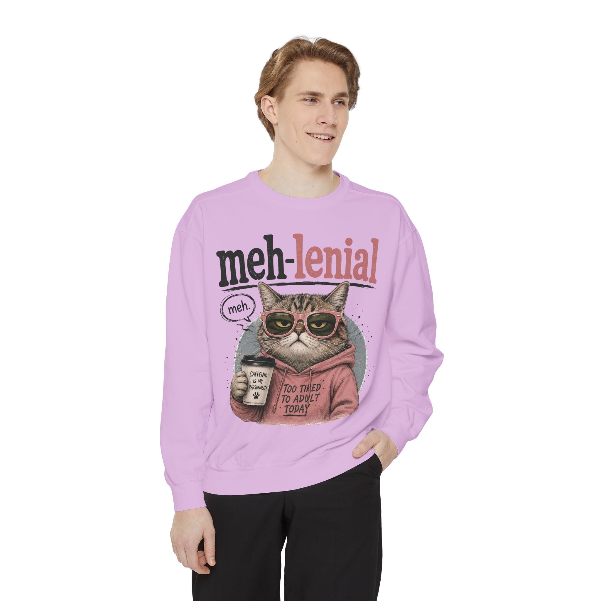 Meh-lenial Cat Sweatshirt — Funny Millennial Humor Pullover