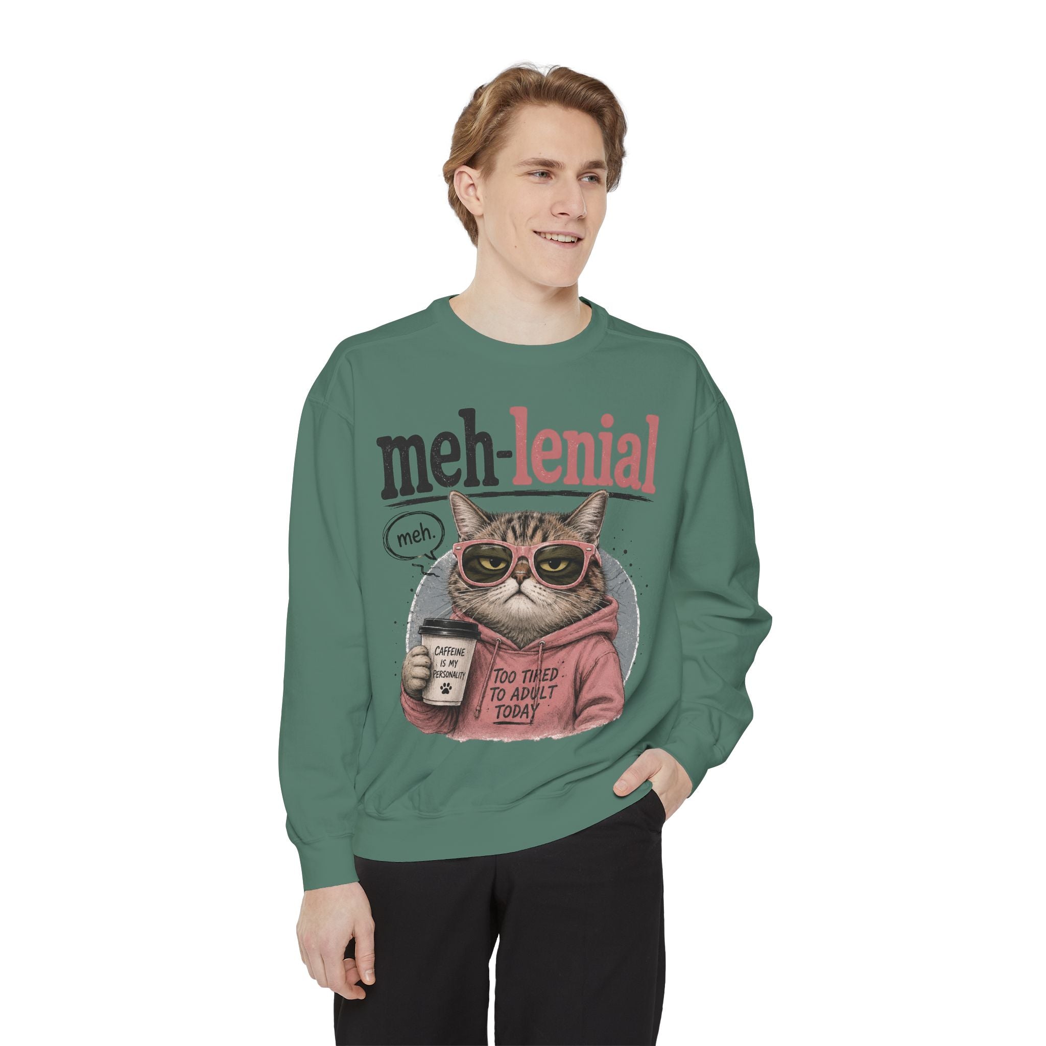 Meh-lenial Cat Sweatshirt — Funny Millennial Humor Pullover