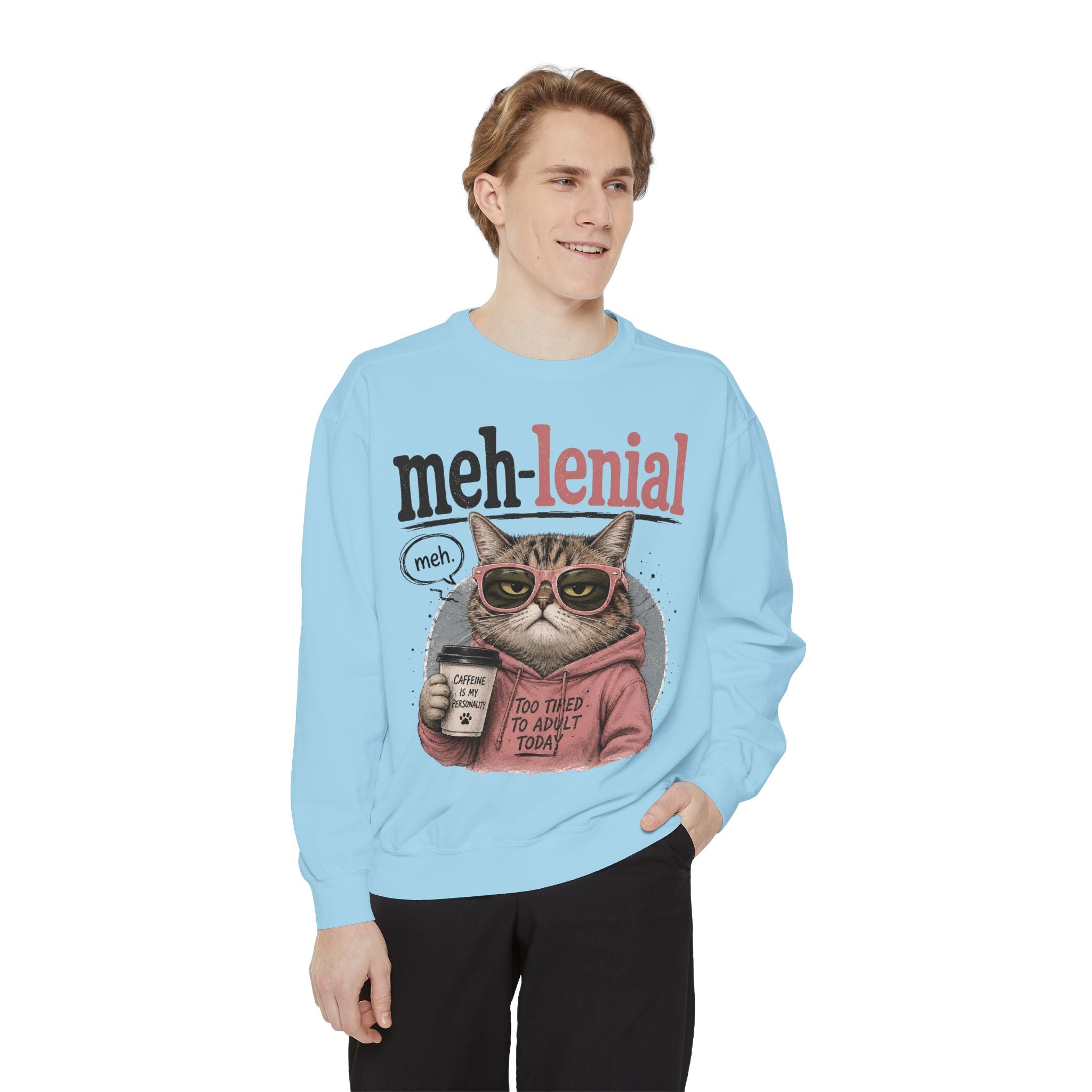 Meh-lenial Cat Sweatshirt — Funny Millennial Humor Pullover