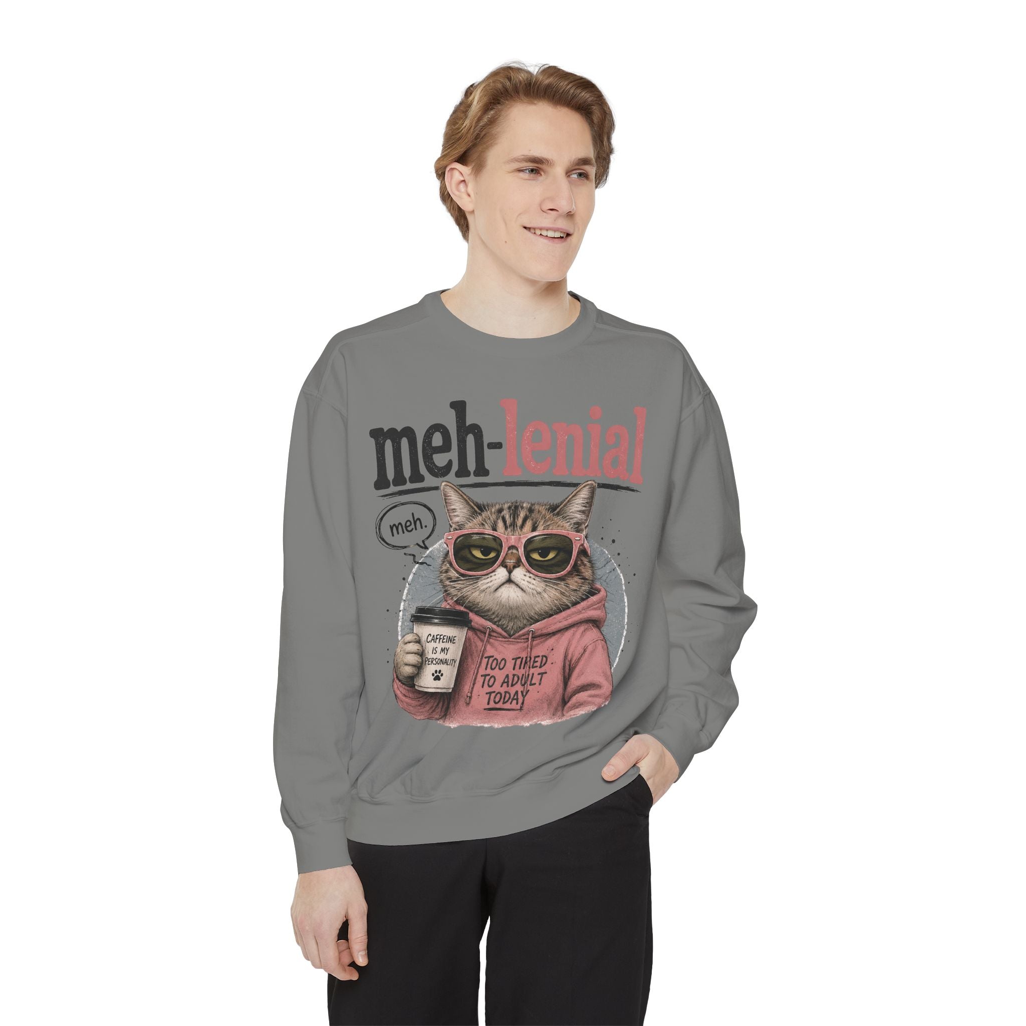 Meh-lenial Cat Sweatshirt — Funny Millennial Humor Pullover