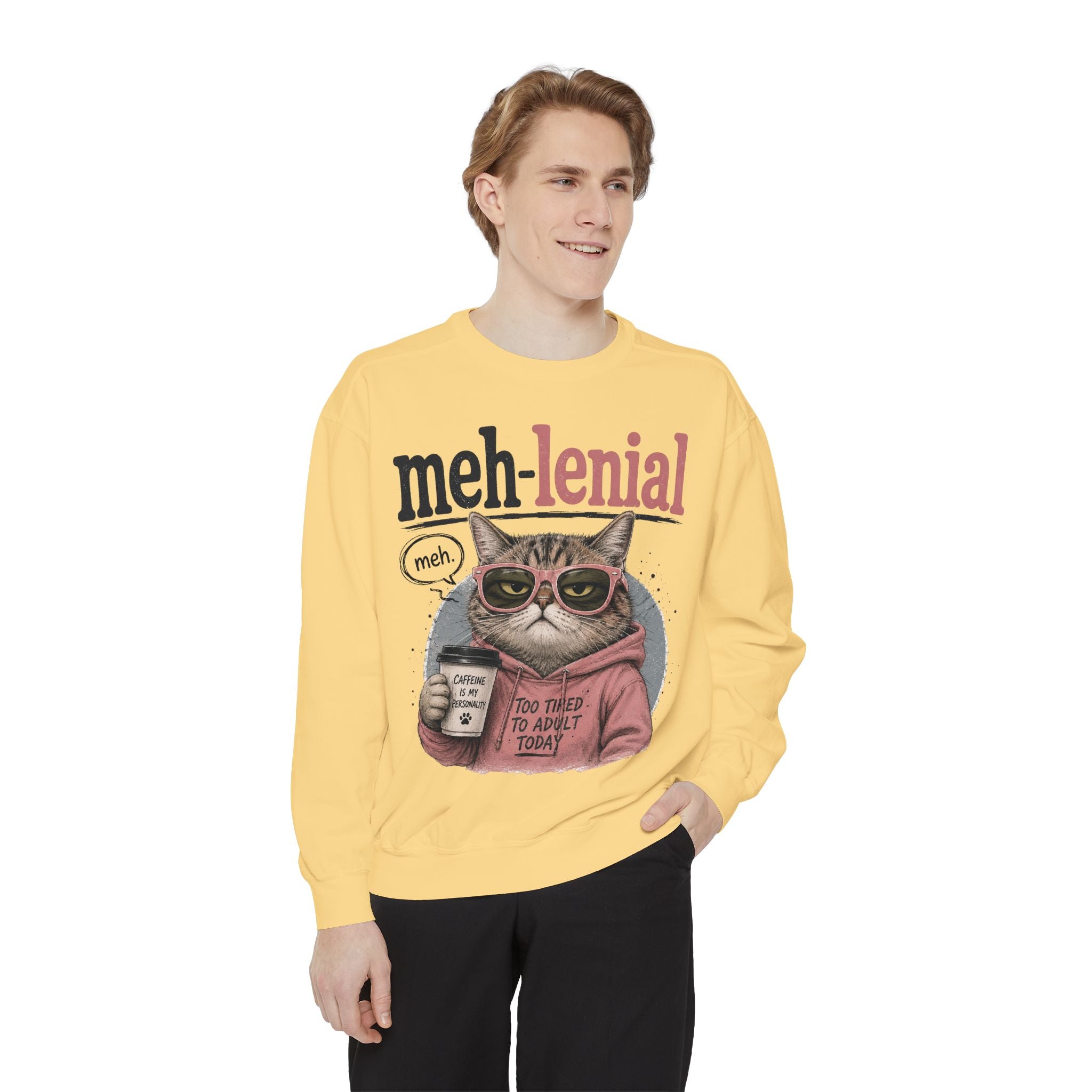 Meh-lenial Cat Sweatshirt — Funny Millennial Humor Pullover
