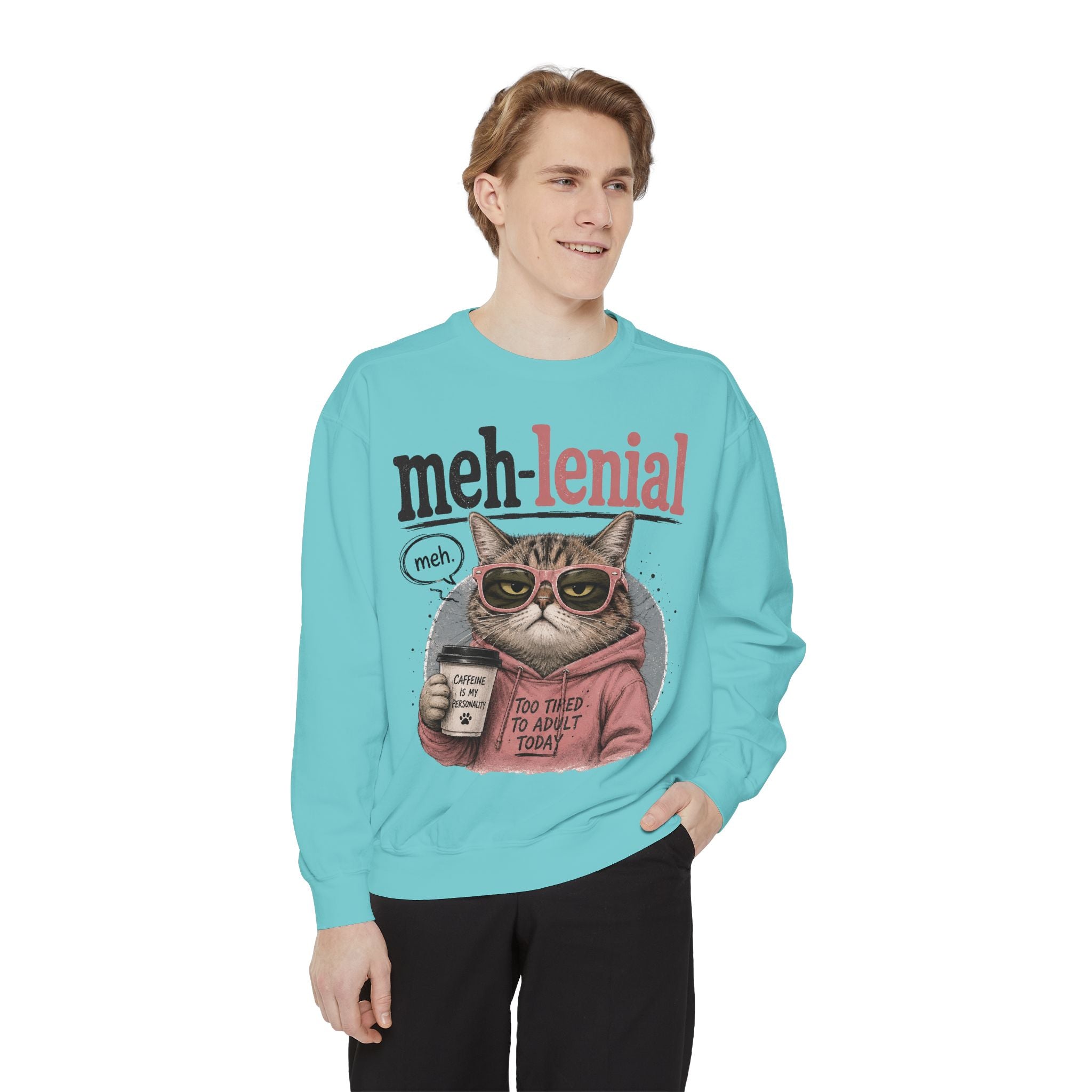 Meh-lenial Cat Sweatshirt — Funny Millennial Humor Pullover