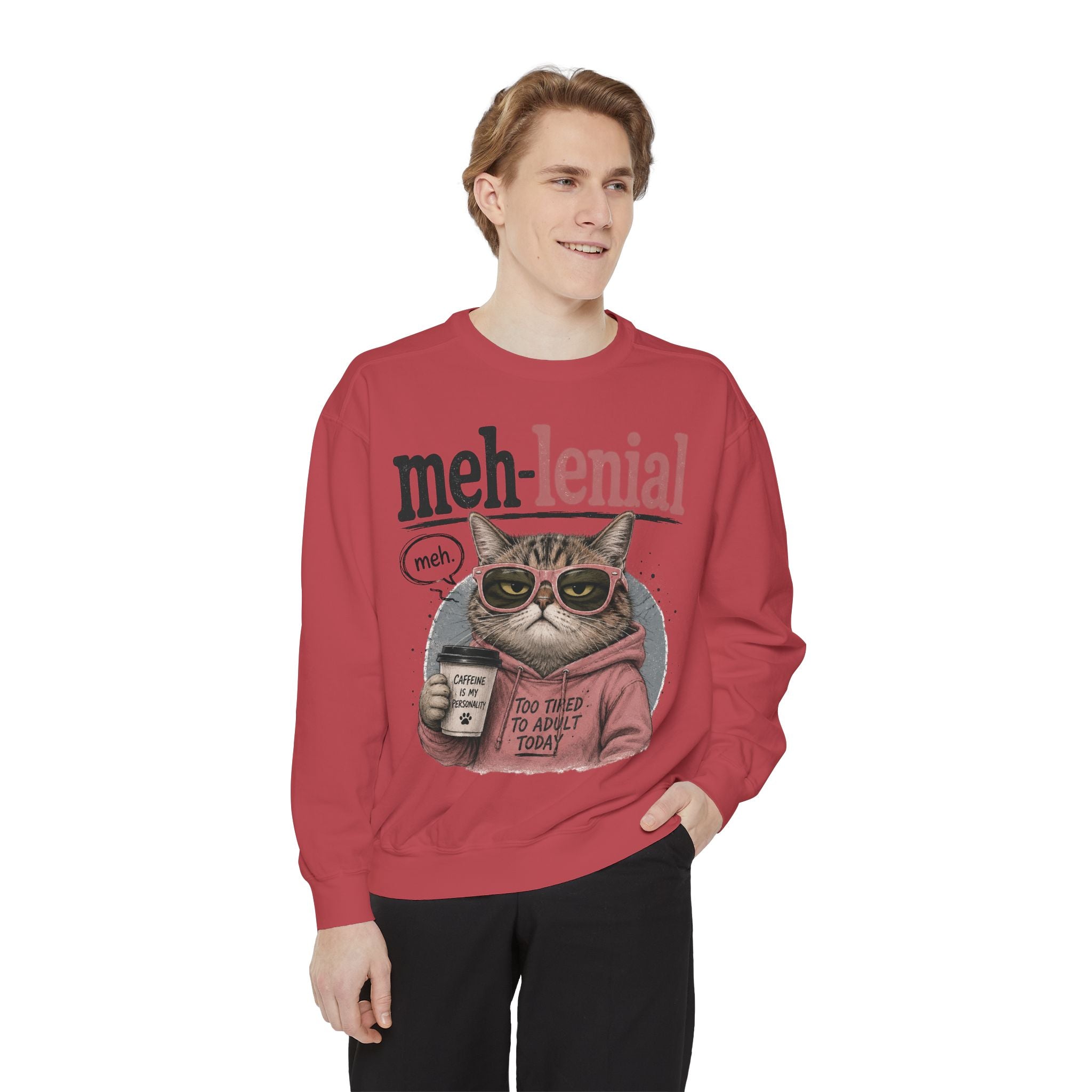 Meh-lenial Cat Sweatshirt — Funny Millennial Humor Pullover