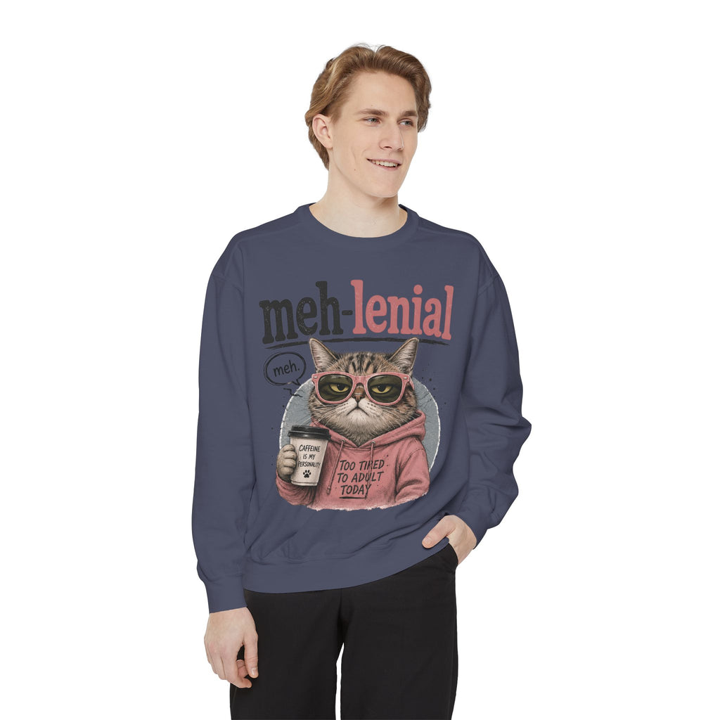 Meh-lenial Cat Sweatshirt — Funny Millennial Humor Pullover