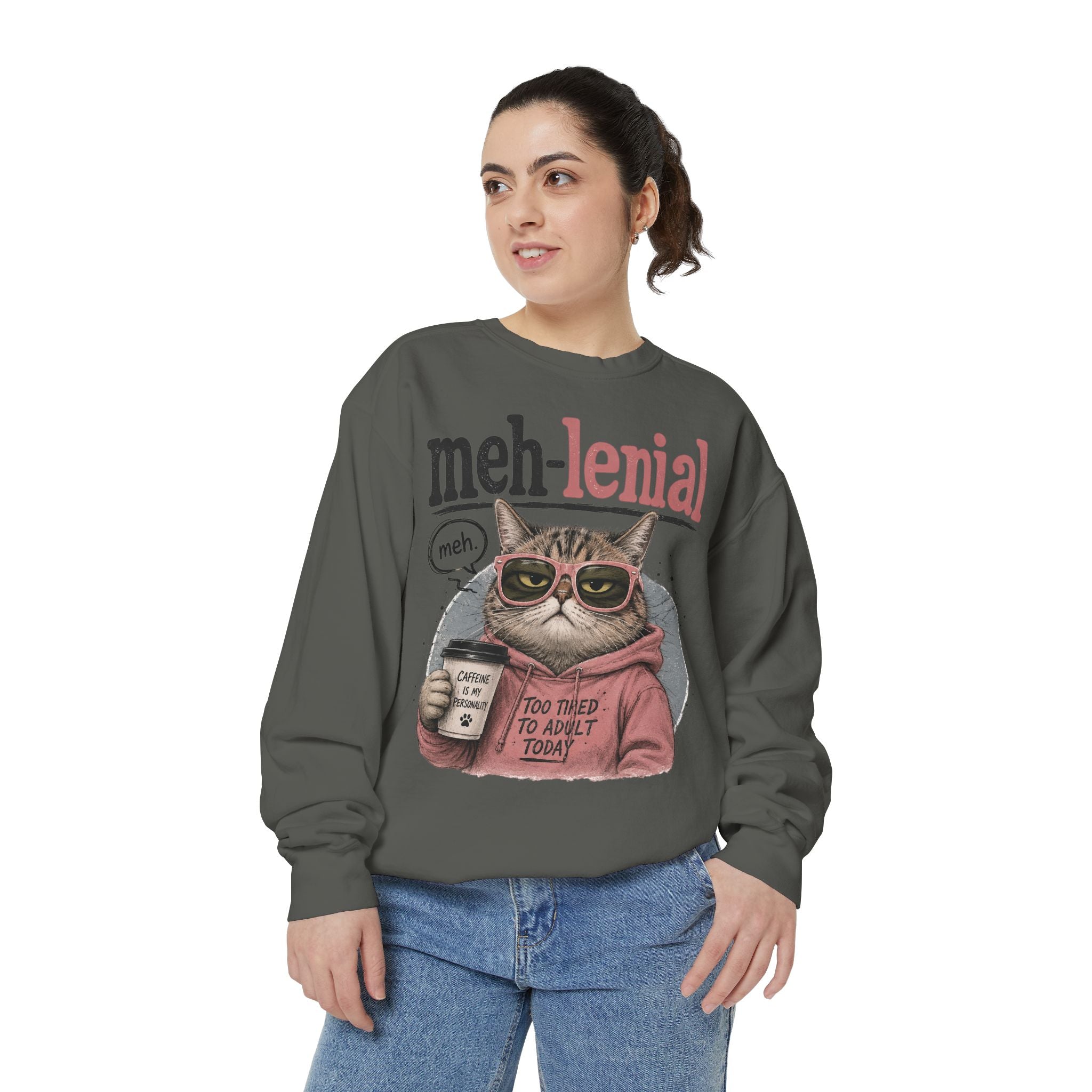 Meh-lenial Cat Sweatshirt — Funny Millennial Humor Pullover