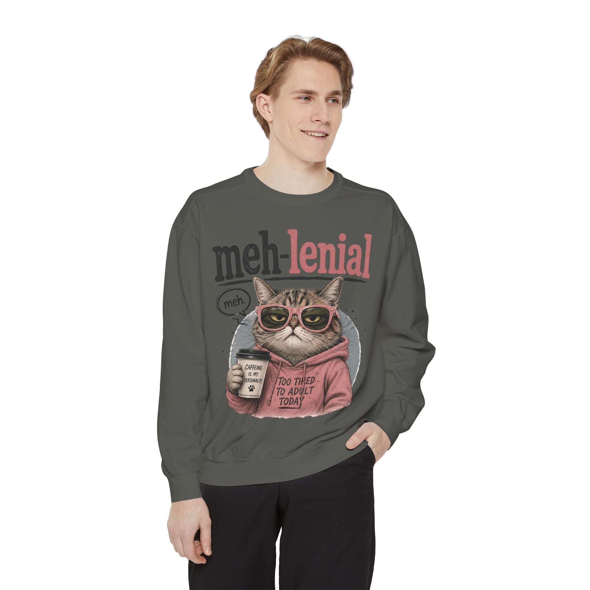 Meh-lenial Cat Sweatshirt — Funny Millennial Humor Pullover