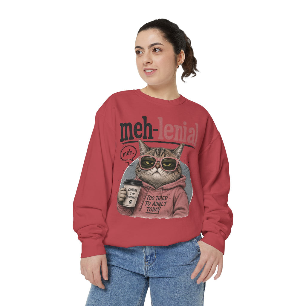 Meh-lenial Cat Sweatshirt — Funny Millennial Humor Pullover