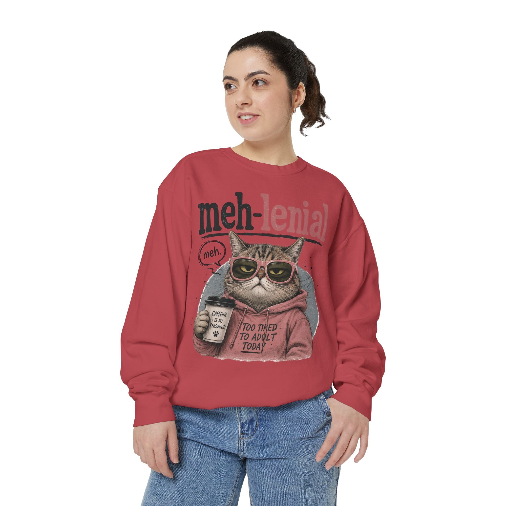 Meh-lenial Cat Sweatshirt — Funny Millennial Humor Pullover