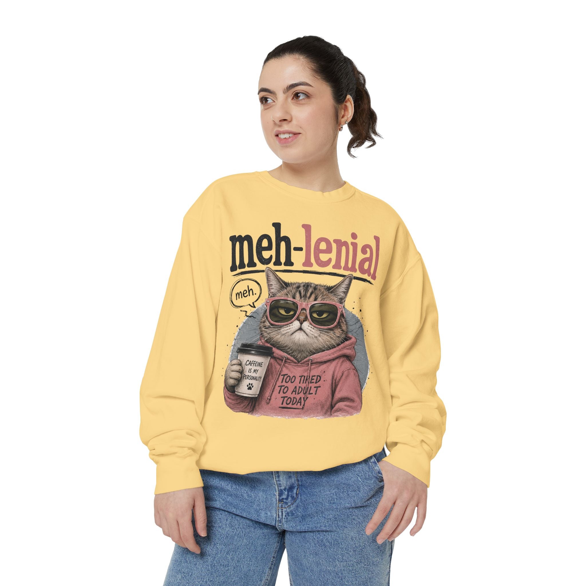 Meh-lenial Cat Sweatshirt — Funny Millennial Humor Pullover